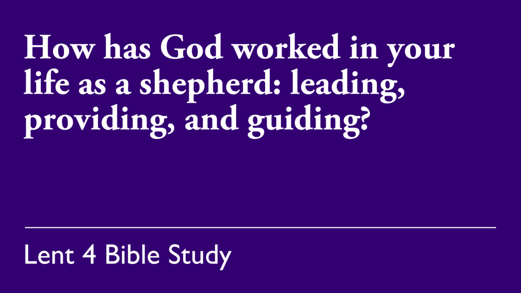 How has God worked in your life as a shepherd: leading, providing, and guiding?
