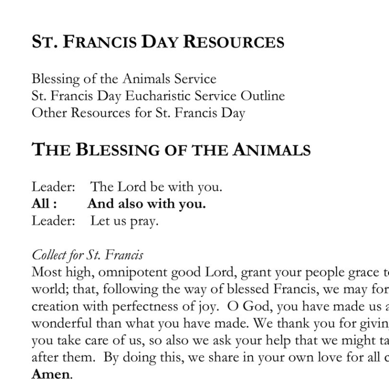St. Francis Day Resources