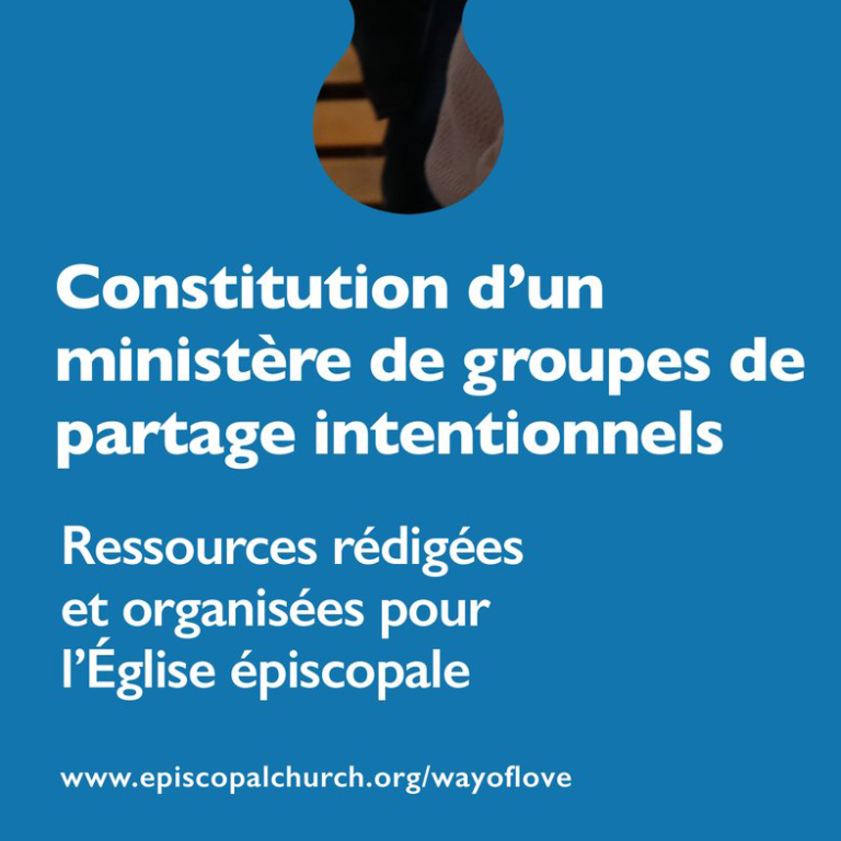 Building an intentional small group ministry (2020) – French
