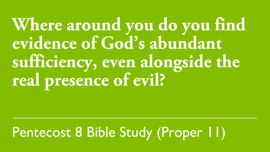 Where around you do you find evidence of god's abundant sufficiency, even alongside the real presence of evil?